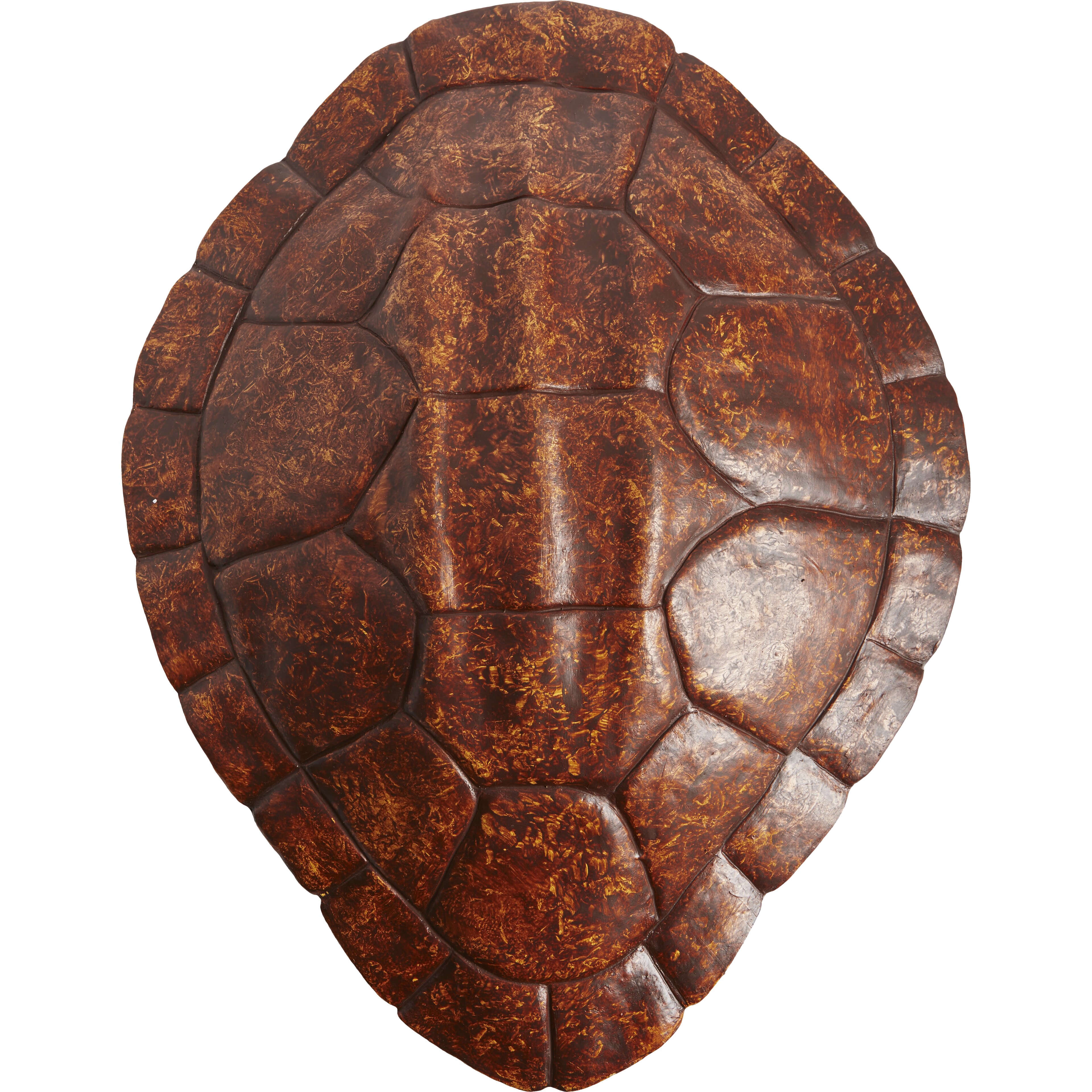 Панцирь черепахи